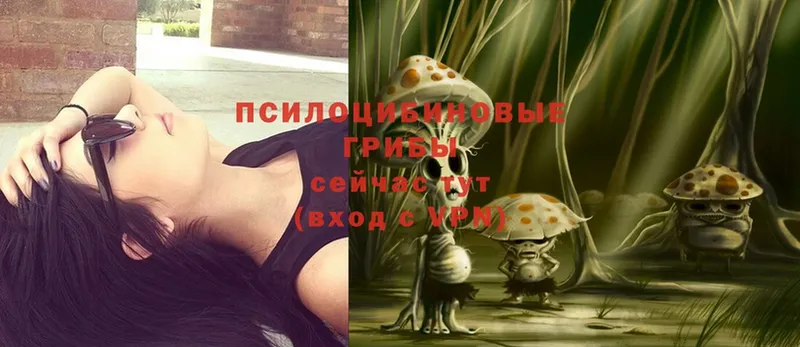 Галлюциногенные грибы Magic Shrooms  Алексин 